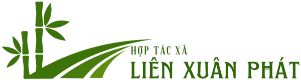 logo HTX nông lâm nghiệp và dịch vụ Liên xuân phát